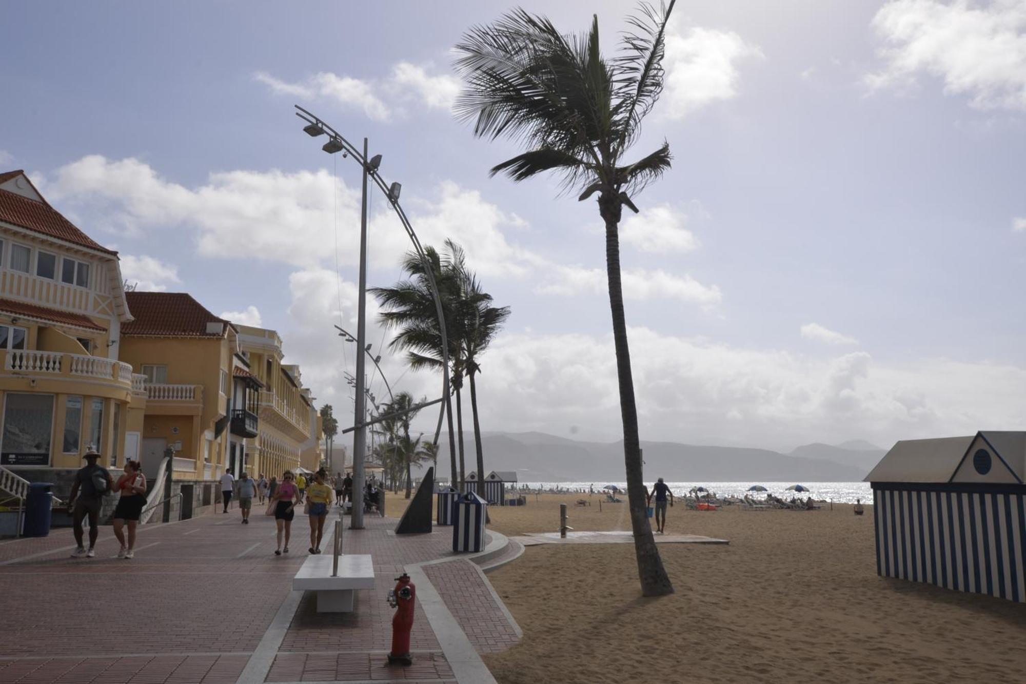 Apartamento Maralma Las Palmas de Gran Canaria Exterior foto